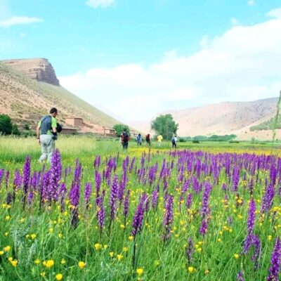 whatsapp-image-2024-02-07-at-23708-pm