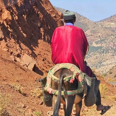 whatsapp-image-2024-02-07-at-23711-pm