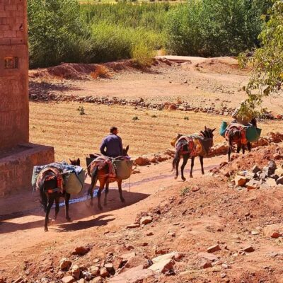 whatsapp-image-2024-02-07-at-23712-pm-1