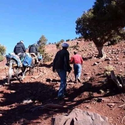 whatsapp-image-2024-02-08-at-33958-pm-2