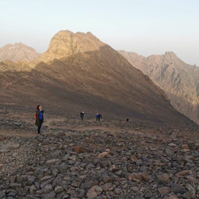 whatsapp-image-2024-02-08-at-41833-pm1