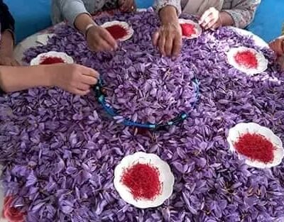 whatsapp-image-2024-02-11-at-43608-pm