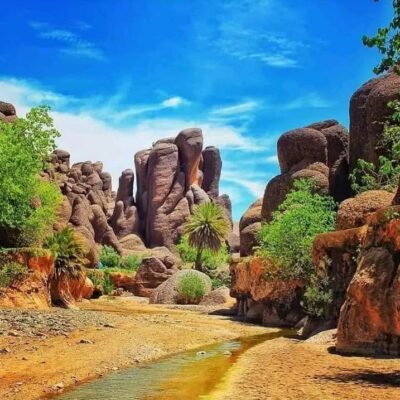 whatsapp-image-2024-02-11-at-43612-pm-1