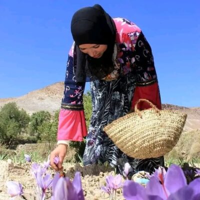 whatsapp-image-2024-02-11-at-43612-pm