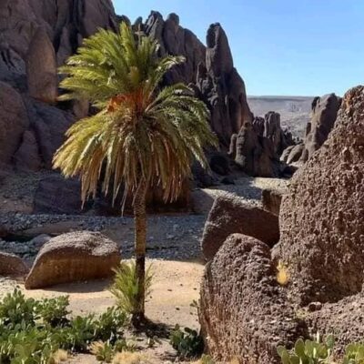 whatsapp-image-2024-02-11-at-43613-pm