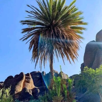 whatsapp-image-2024-02-11-at-43614-pm