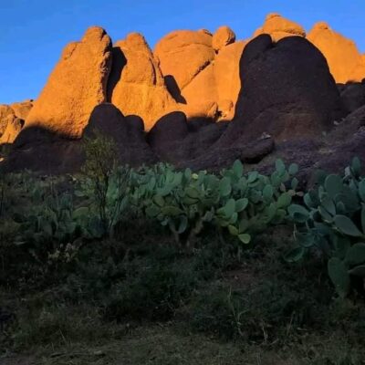 whatsapp-image-2024-02-11-at-43615-pm